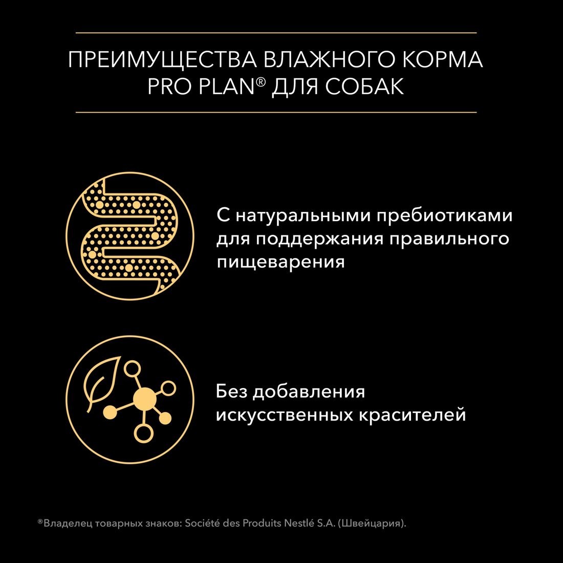 Пресервы Pro Plan Adult с говядиной в соусе 85 г