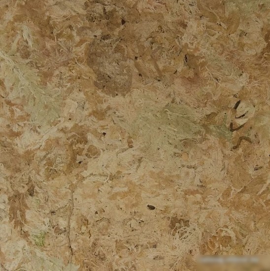 Субстрат Lucky Reptile Sphagnum SM-100 100 г