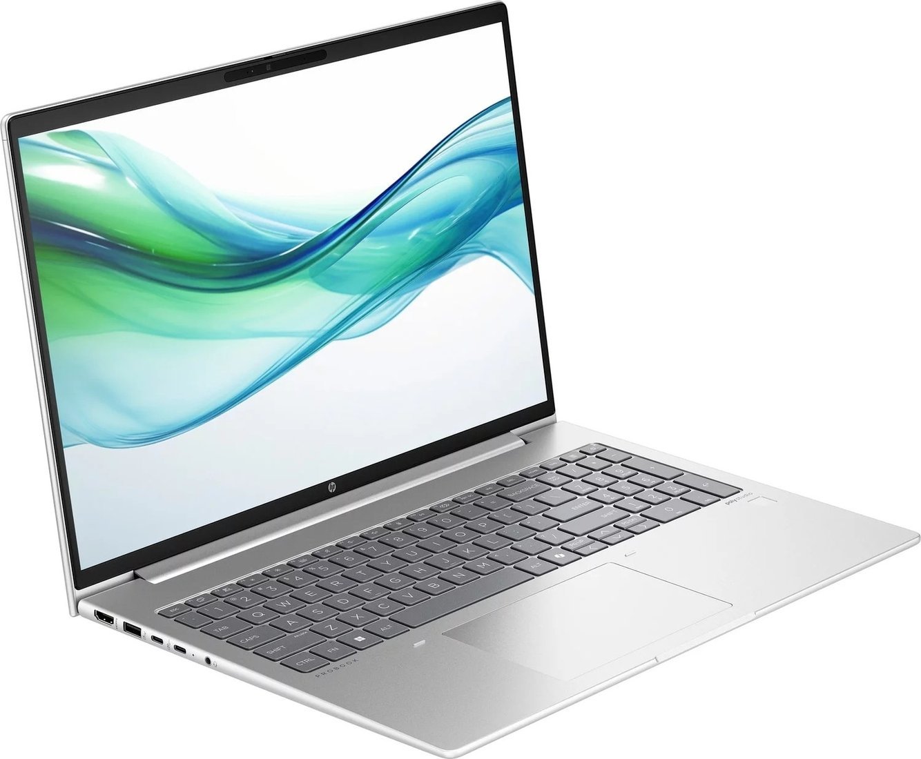 Ноутбук HP ProBook 460 G11 D2FP5ET Win 11 Pro