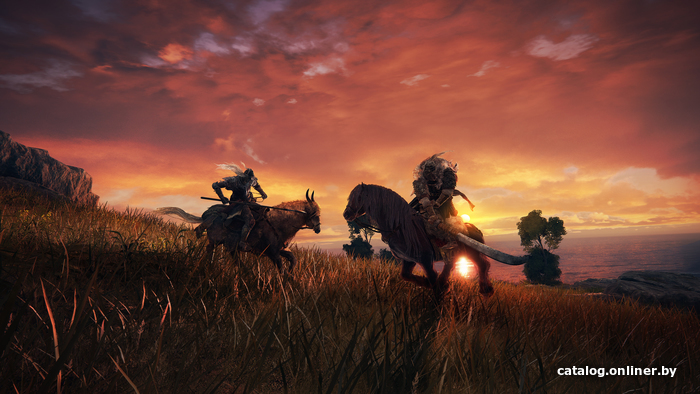 Elden Ring для PlayStation 4