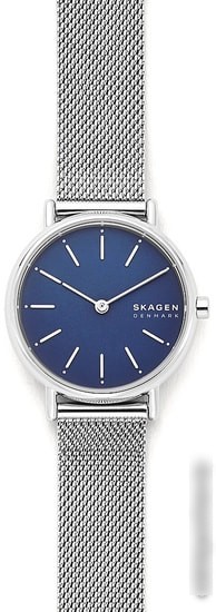 Наручные часы Skagen Signatur SKW2759