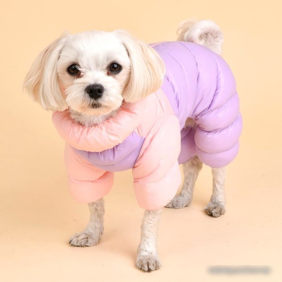 Комбинезон для животных Puppia Ultra Light Pastel PAUD-JP1675-PK-XL (розовый/сиреневый)