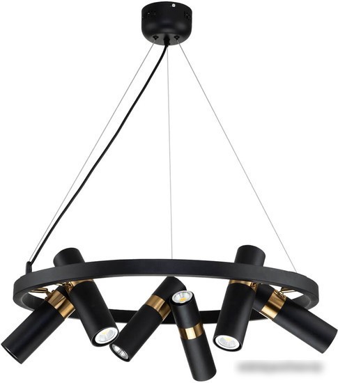 Подвесная люстра Favourite Light Point 2997-6P