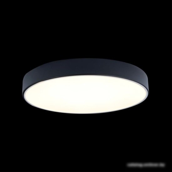 Люстра-тарелка LOFT IT Axel 10002/24 Black