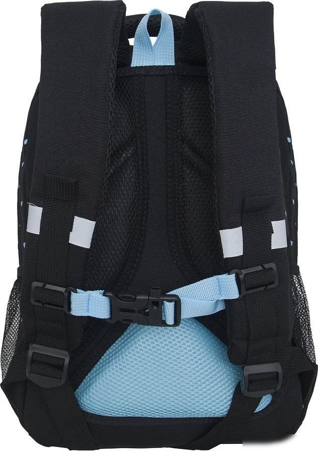 Школьный рюкзак Grizzly RG-460-6 (черный)