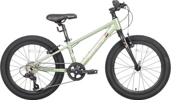 Детский велосипед Maxiscoo 5bike 20 M200 2025 MSC-M5-2011 (хаки, разобранный)