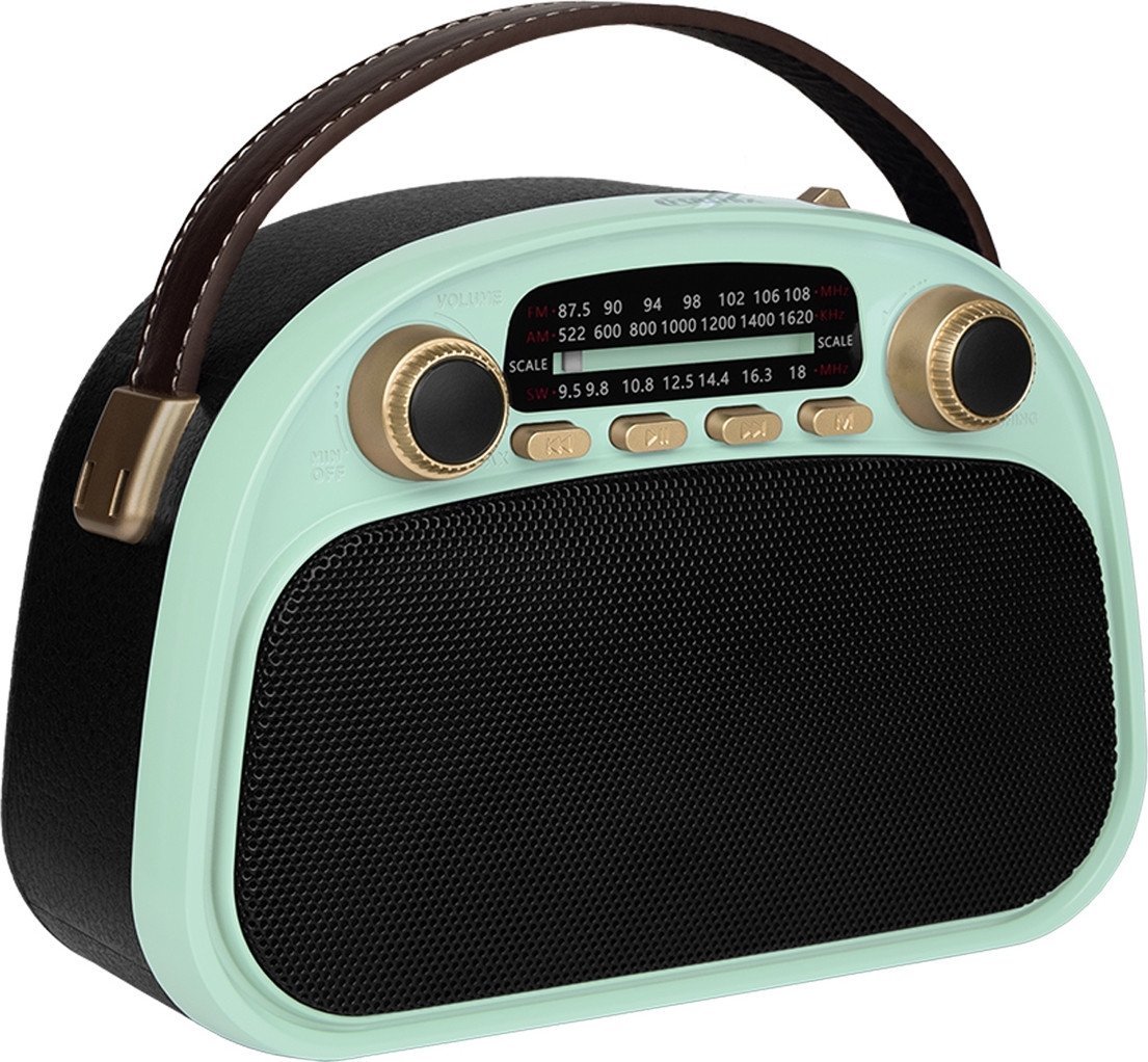 Радиоприемник Ritmix RPR-040 (мятный)