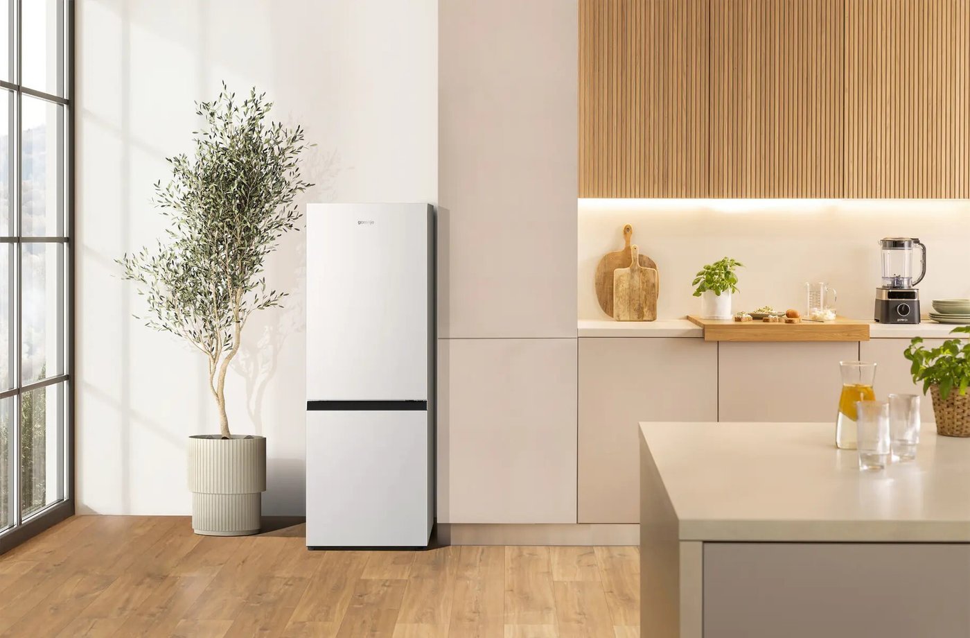 Холодильник Gorenje RK14F2W4