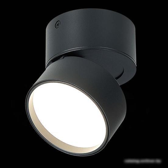 Припотолочная люстра ST Luce ST651.442.09