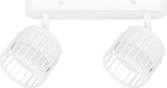 Спот Arte Lamp Atria A8031PL-2WH