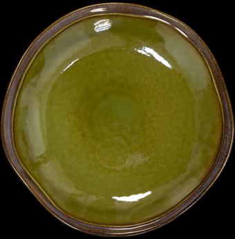 Тарелка обеденная Corone Verde HL496960 фк0707