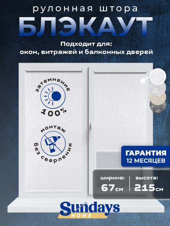 Рулонные шторы Sundays Home LM 97-11 67х215 (белый)