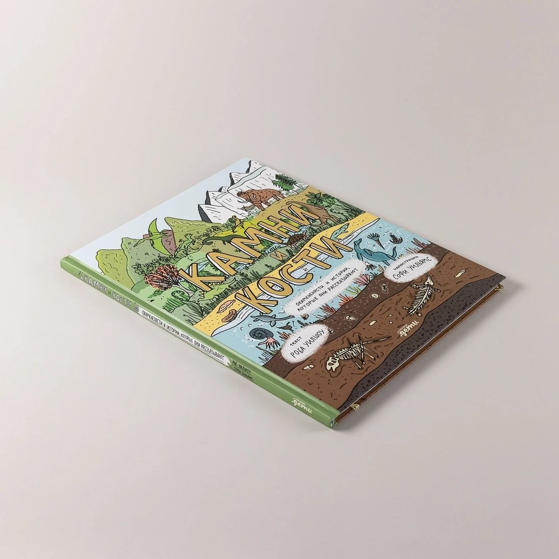 Книга издательства Альпина Паблишер. Камни и кости (Уилшоу Роб, Уильямс Софи)