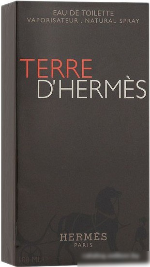 Hermes Terre d'Hermes EdT (100 мл)