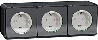 Розетка Schneider Electric Mureva Styl MUR36038