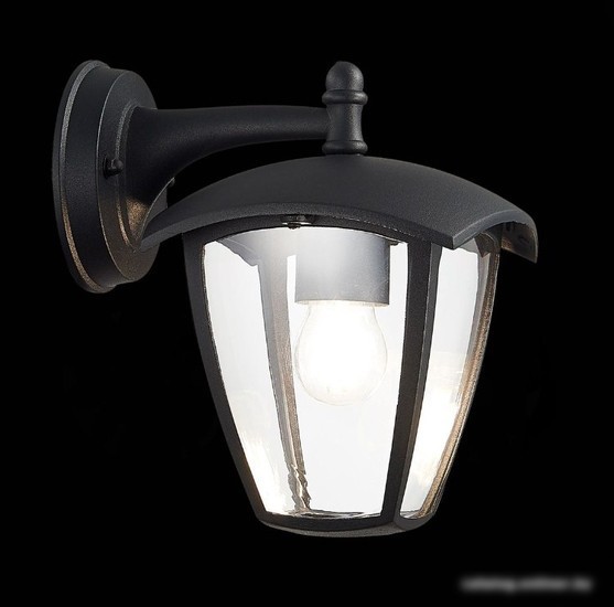 Уличный настенный светильник ST Luce SL081.411.01