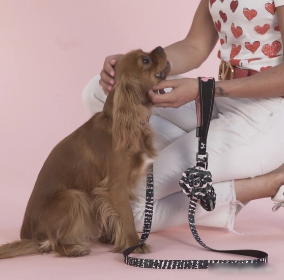 Поводок United Pets Complete Me Leash (L, розовый камуфляж)