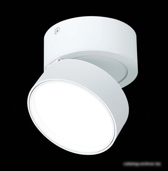 Припотолочная люстра ST Luce ST651.542.14
