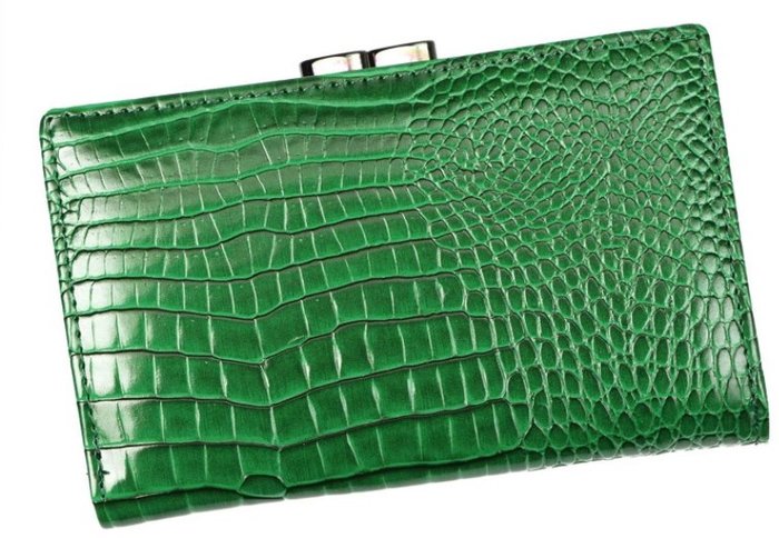 Кошелек Cedar 4U Cavaldi PX23-JMS (зеленый)