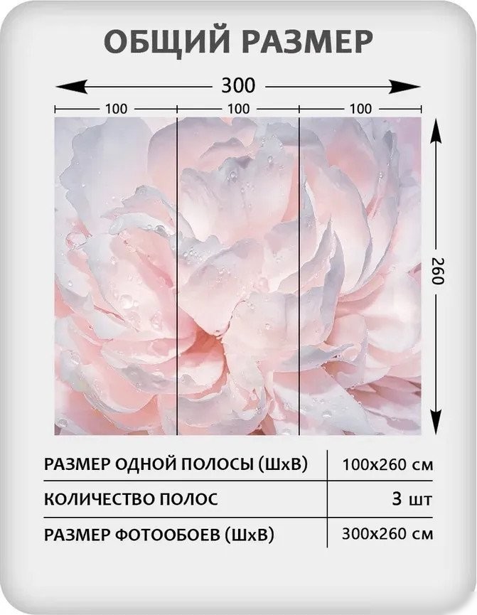 Фотообои Mio Tesoro Цветы и Растения 40 (300x260)