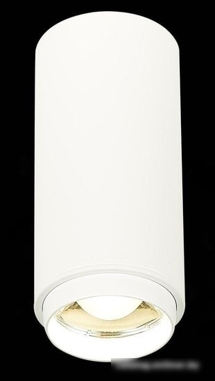 Точечный светильник ST Luce Zoom ST600.542.10