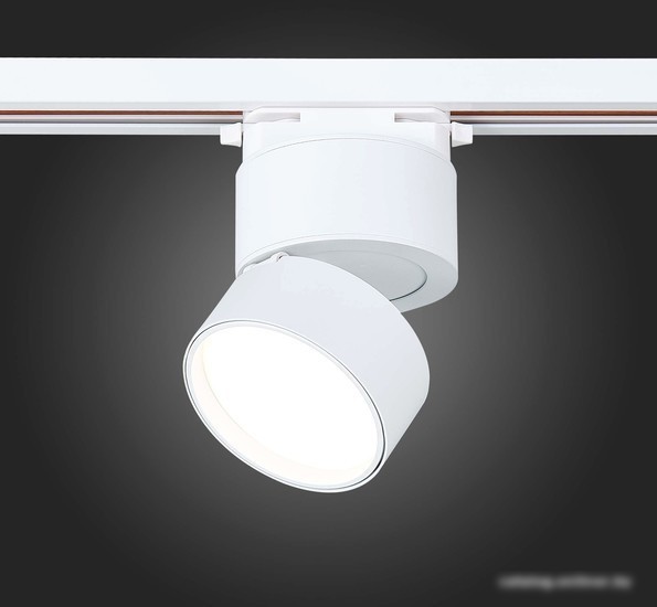 Светильник ST Luce ST651.546.09