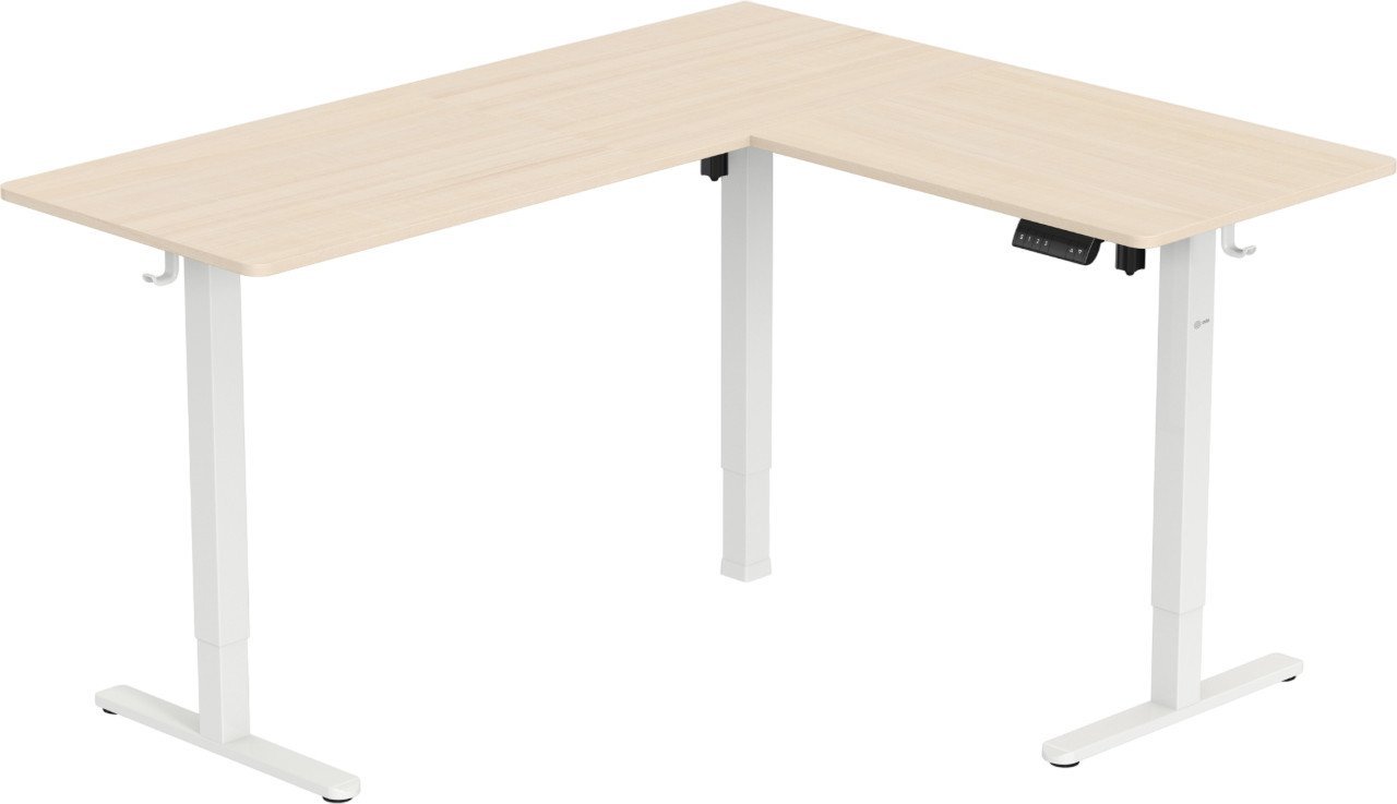 CACTUS CS-EDXL-WWD