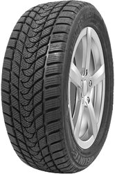 Зимние шины Delinte Winter WD1 225/45R17 94T