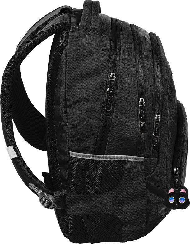Школьный рюкзак Paso BU26KZ-2708