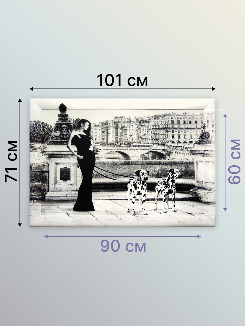 Картина Декарт 8Л0880