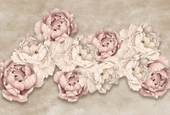 Фотообои Vimala Пионика на штукатурке 270x400