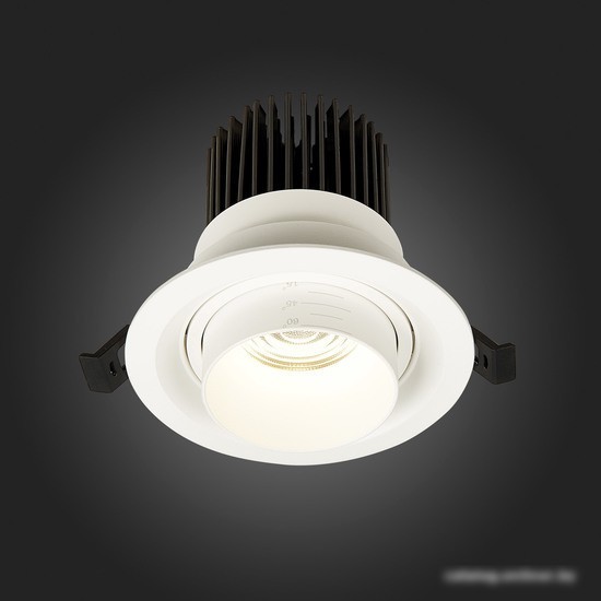 Точечный светильник ST Luce Zoom ST701.548.12
