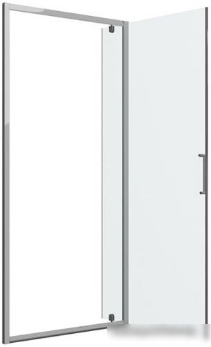 Душевая дверь Bravat Drop 90 BD090.4111A