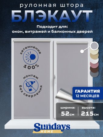 Рулонные шторы Sundays Home LM 168-07 52x215 (серый)