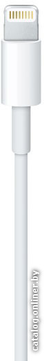 Кабель Apple Lightning to USB 0.5 м (белый) [ME291ZM/A]