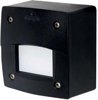 Тротуарный встраиваемый светильник Fumagalli Leti 3S3.000.000.AYG1L