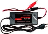 Зарядное устройство MaxInter PLUS-2AI