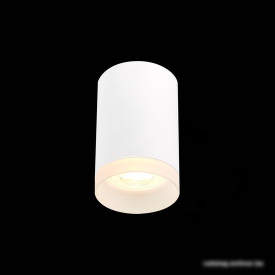Припотолочная люстра ST Luce ST100.502.01