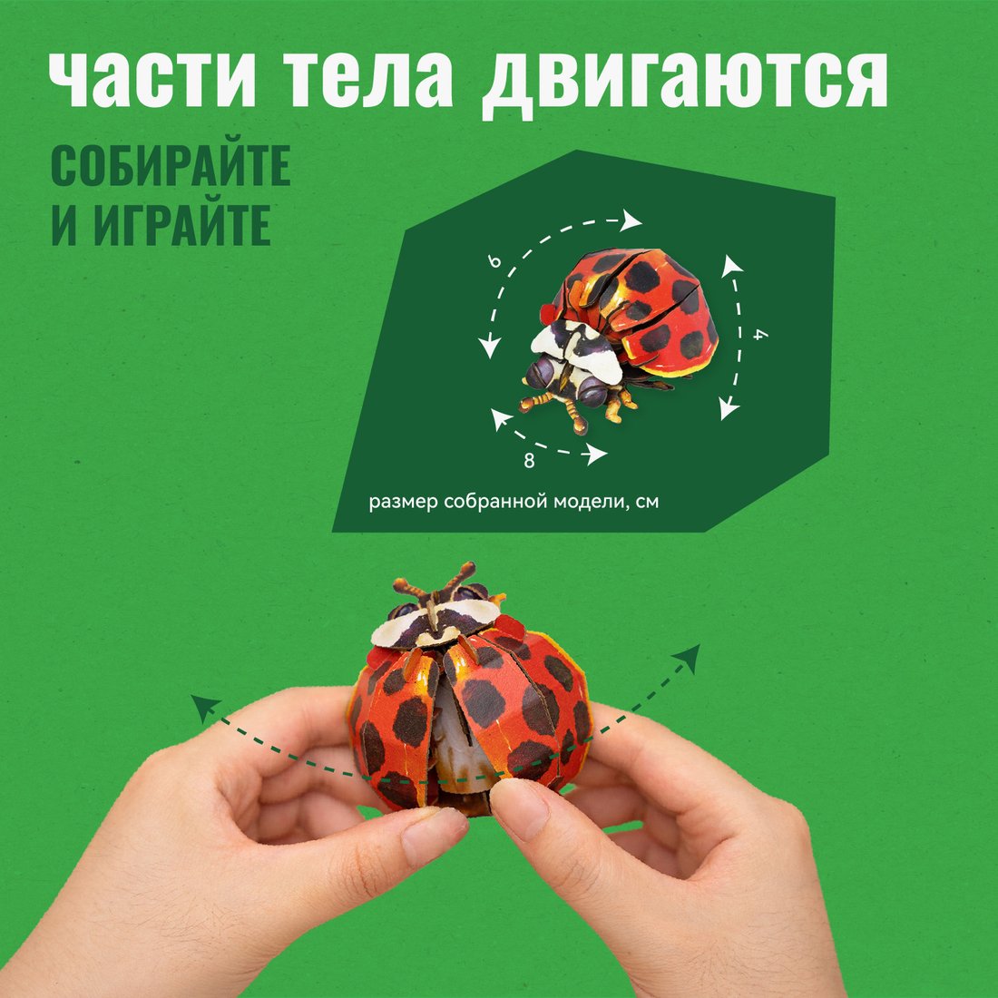Конструктор Makebug Bring Nature Home Божья коровка-арлекин MB-C-0014