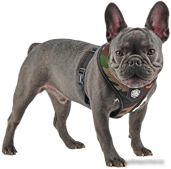 Шлейка Puppia Thermal Soft PLRD-HA9345-CA-XXL (камуфляж)