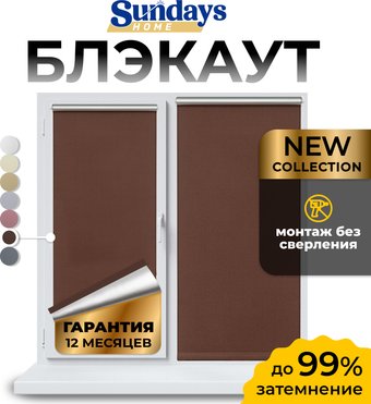 Рулонные шторы Sundays Home LM 168-09 38x160 (коричневый)