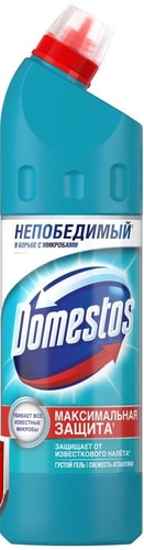 Универсальное средство Domestos Свежесть атлантики 750 мл