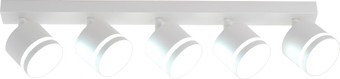 Спот TruEnergy 21023