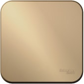 Выключатель Schneider Electric Blanca BLNVA101014