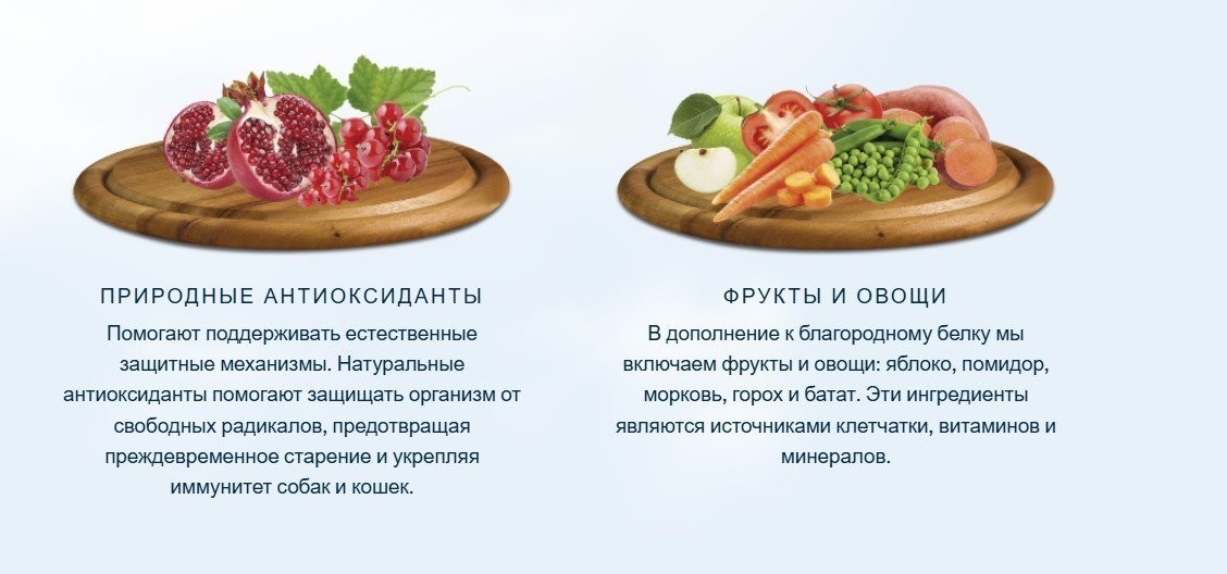 Сухой корм для собак HappyOne Mediterraneum беззерновой со свежим яйцом и свежим мясом ягненка 12 кг