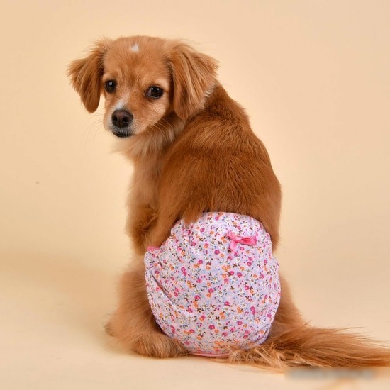 Гигиенические трусы Puppia WildFlower PAUB-PT1806-PK-S (розовый)