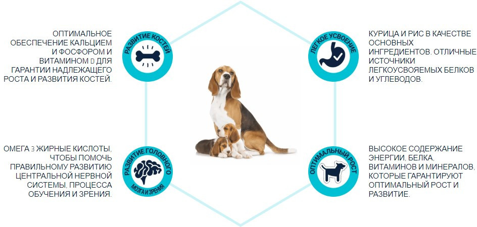 Сухой корм для собак Advance Mother & Puppy Initial 3 кг