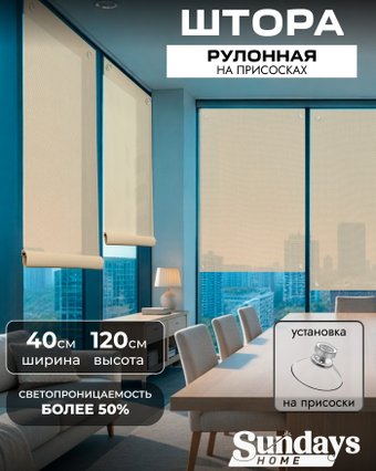 Рулонные шторы Sundays Home Санскрин 310-02 40х120 (бежевый, на присосках)
