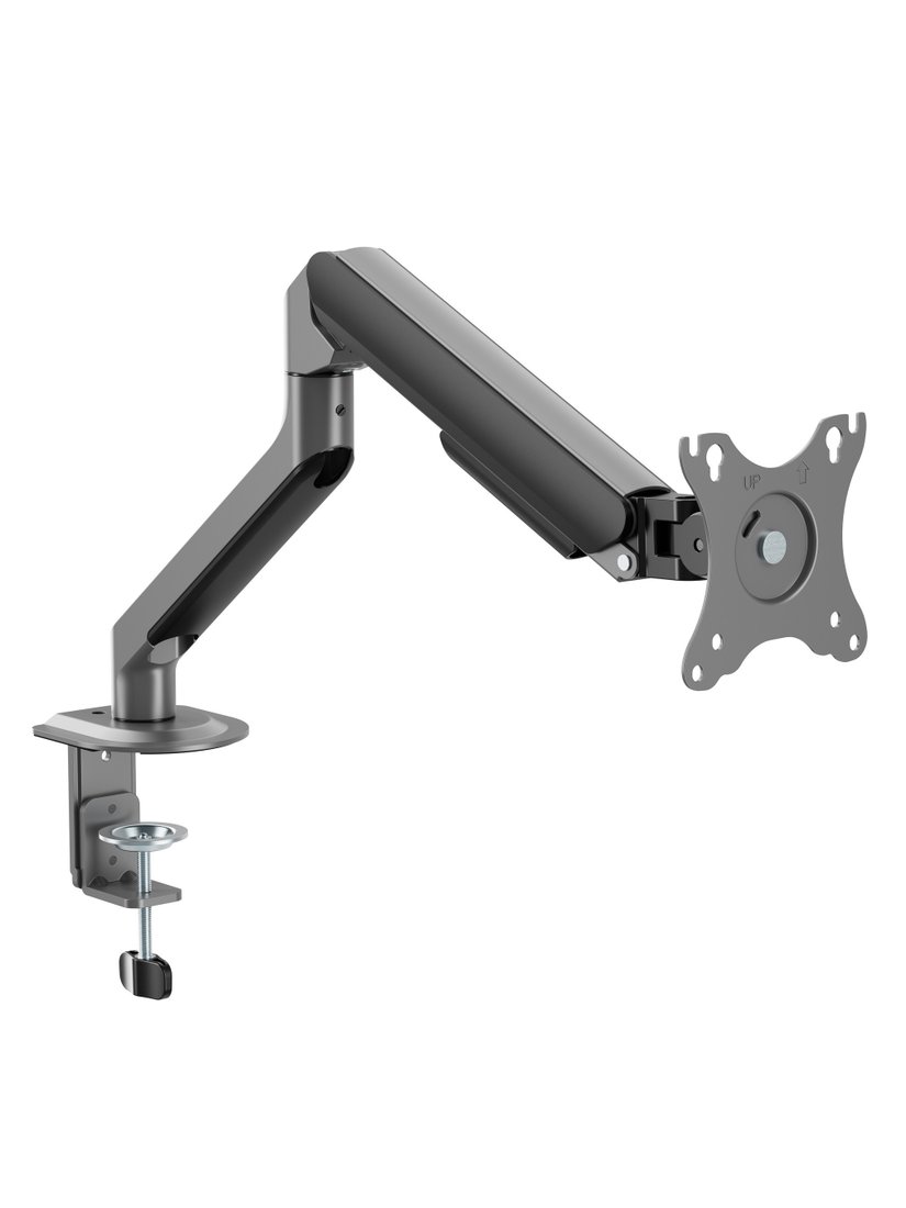 Кронштейн для монитора ErgoSmart Space Grey (космический серый)