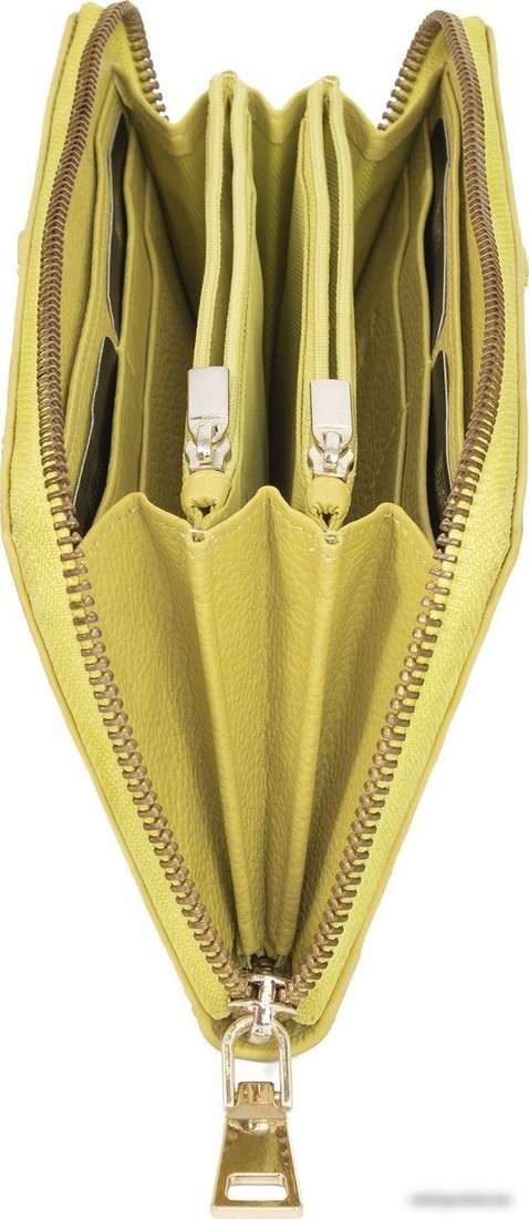 Кошелек Bellugio TD-124R-407 (лайм)